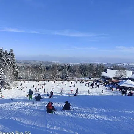 In The Woods With Nordic Bath Alpstuga Manhay