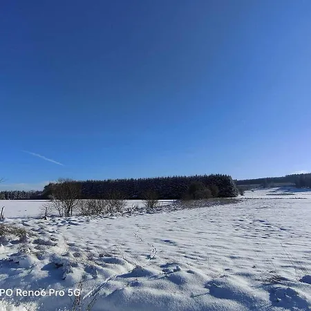 In The Woods With Nordic Bath Manhay