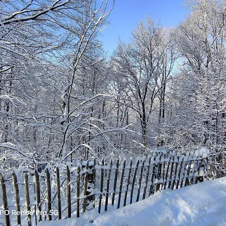 Chalet In The Woods With Nordic Bath *