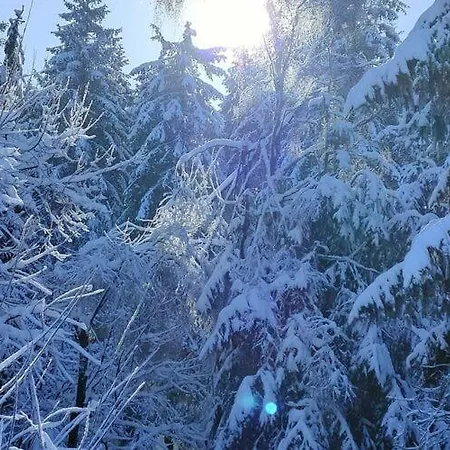 In The Woods With Nordic Bath Alpstuga *